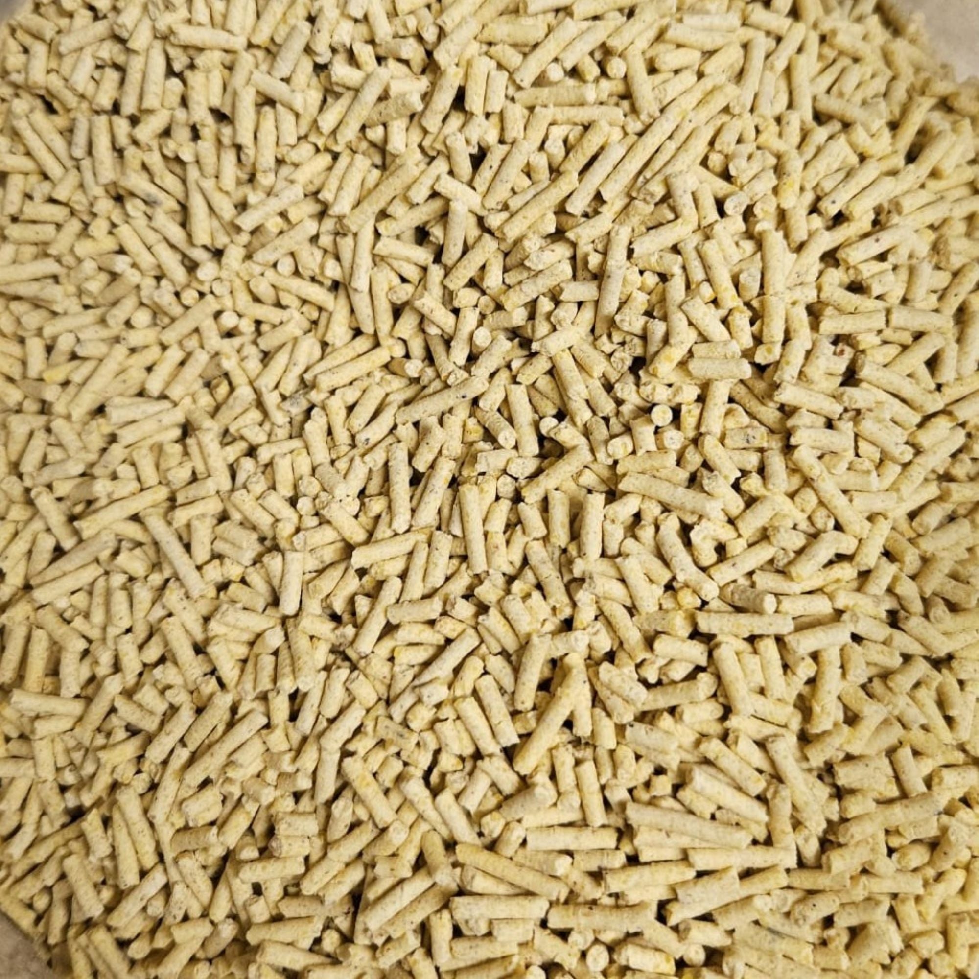 Mais Katzenstreu 30 kg / 80 L von Denny Bio Animals – Ansicht 3