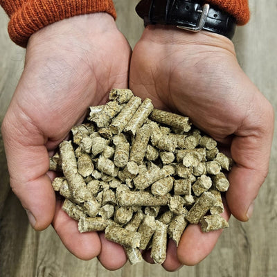 Miscanthus Pellets Einstreu 8 mm 15 kg von Denny Bio Animals – Ansicht 4